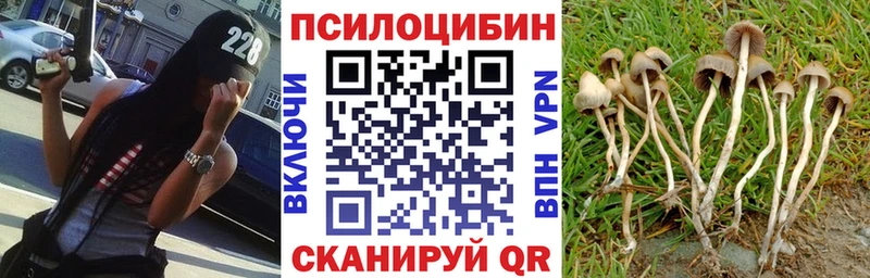 Галлюциногенные грибы GOLDEN TEACHER  OMG рабочий сайт  Ясногорск 