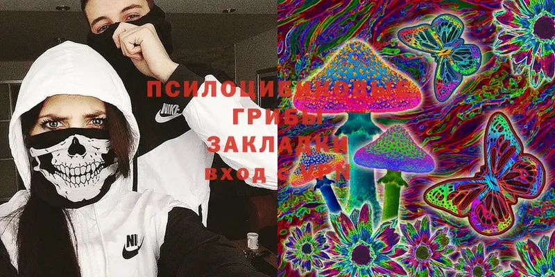 Галлюциногенные грибы Magic Shrooms  кракен tor  Ясногорск 